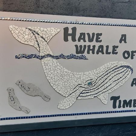 Whale Watch Accommodation دو كيلدرز المظهر الخارجي الصورة