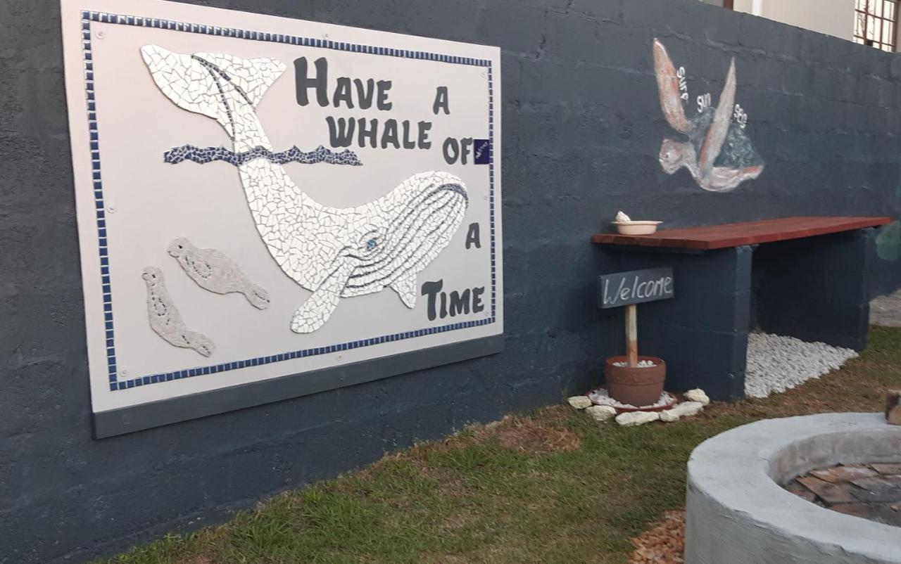 Whale Watch Accommodation دو كيلدرز المظهر الخارجي الصورة