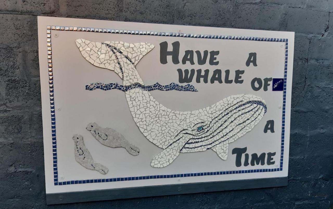 Whale Watch Accommodation دو كيلدرز المظهر الخارجي الصورة